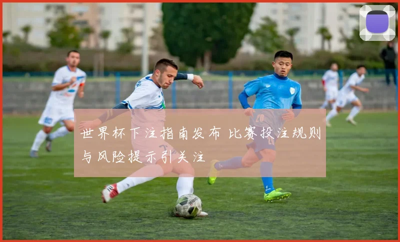 世界杯下注指南发布 比赛投注规则与风险提示引关注
