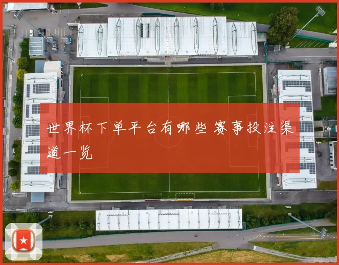 世界杯下单平台有哪些 赛事投注渠道一览