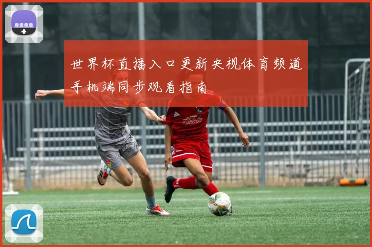世界杯直播入口更新央视体育频道手机端同步观看指南
